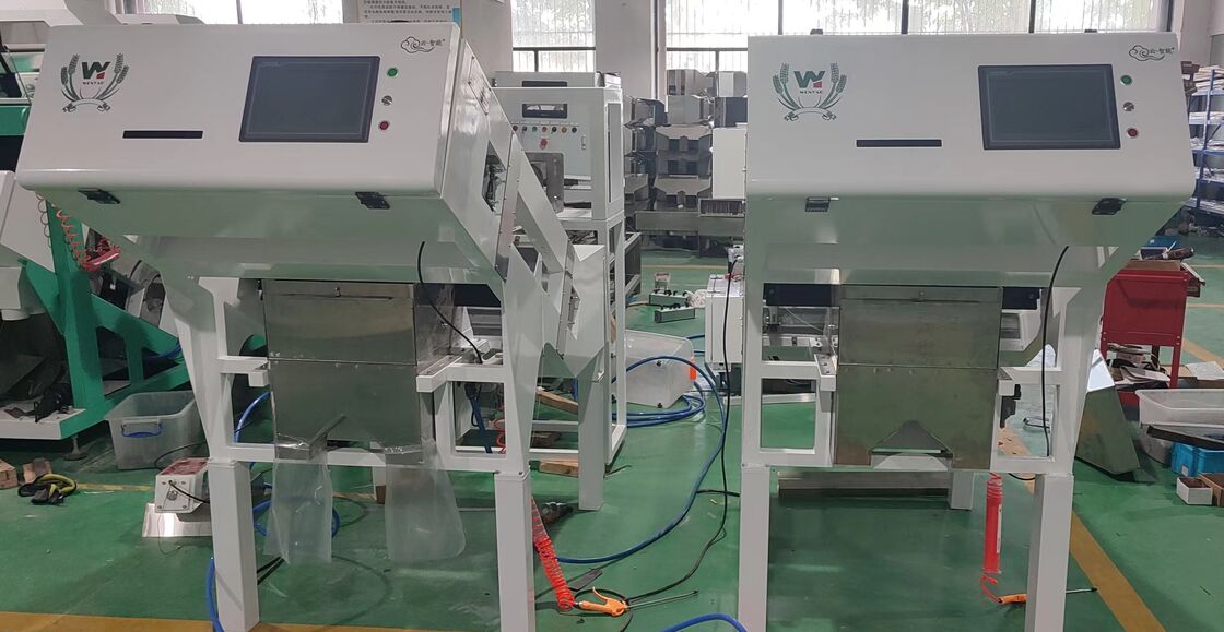 فارز ألوان بالحزام المضغوط مع مستشعر TOSHIBA والتحكم عن بعد عبر الواي فاي لفرز الفاكهة بكفاءة