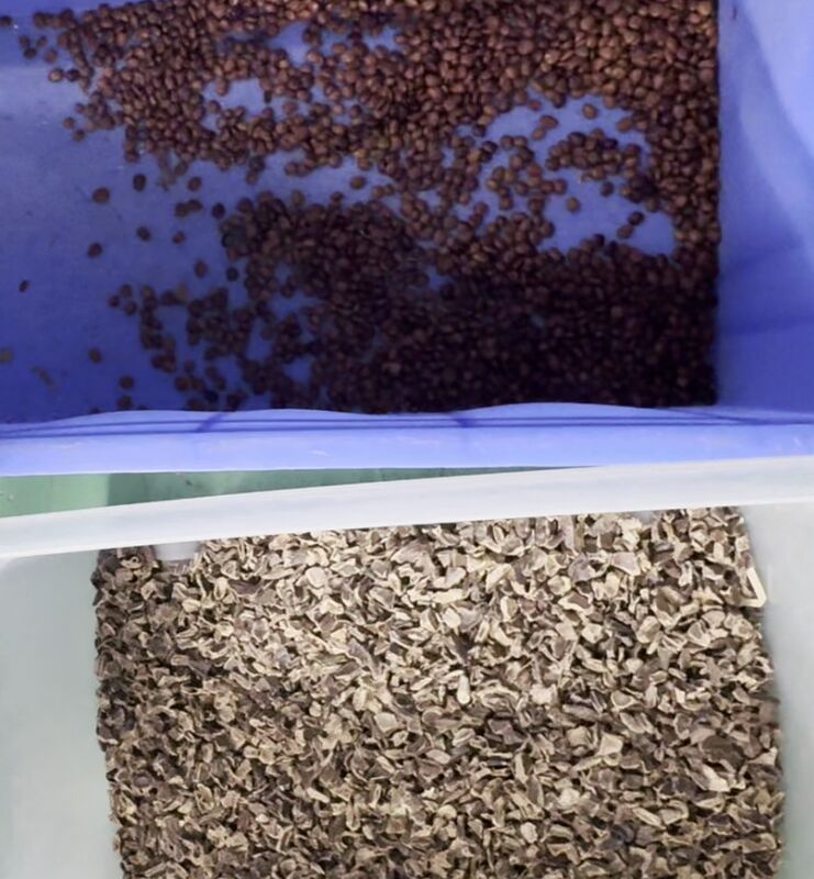 آلة فرز ألوان صابون بود المزدوجة الحزام الذكية الأحدث عالية الدقة وينياو 2025 مع جهاز تحكم عن بعد عبر الواي فاي