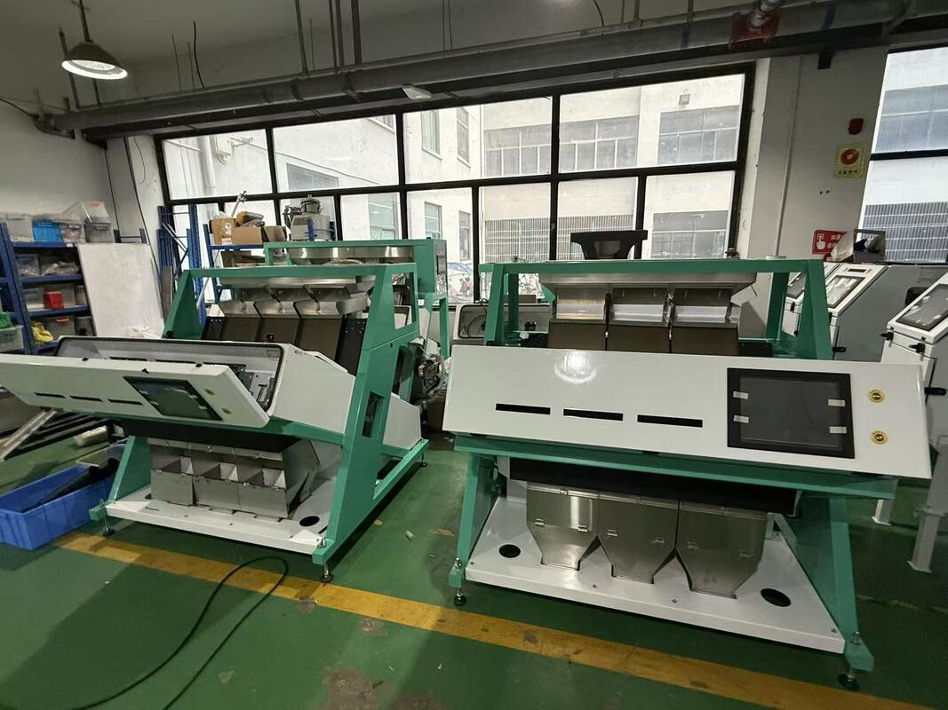 Wenyao CE Certified High Speed Color Sorter Chinese Manufacturers Optical Sorter Supplier Broad Bean Color Sorter Machine