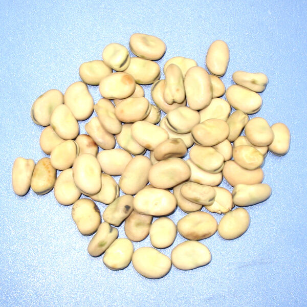 Wenyao CE Certified High Speed Color Sorter Chinese Manufacturers Optical Sorter Supplier Broad Bean Color Sorter Machine