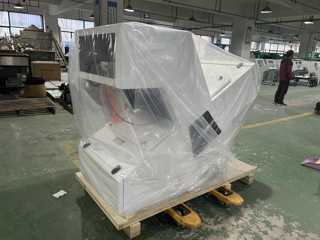 آلة فرز الألوان البصرية WENYAO 1 Chute لفرز ألوان الكستناء المجففة والمجففة