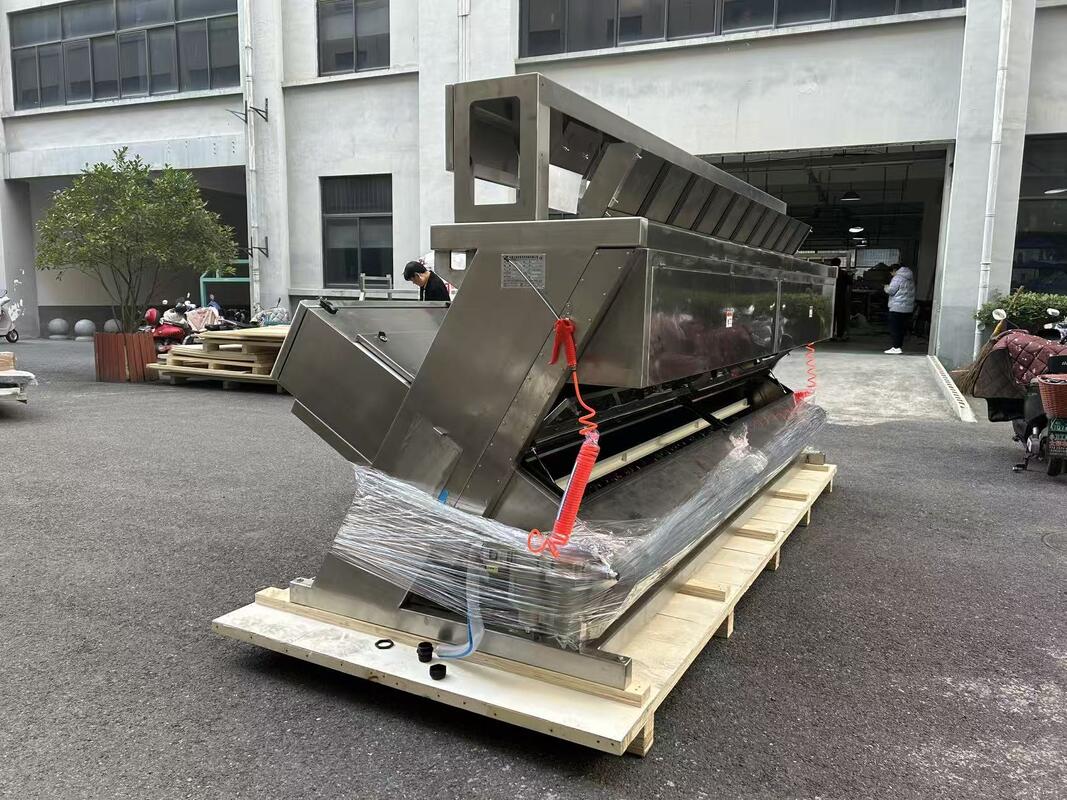 WENYAO 2025 Industrial Salt Color Sorter Machine in Salt Processing Line