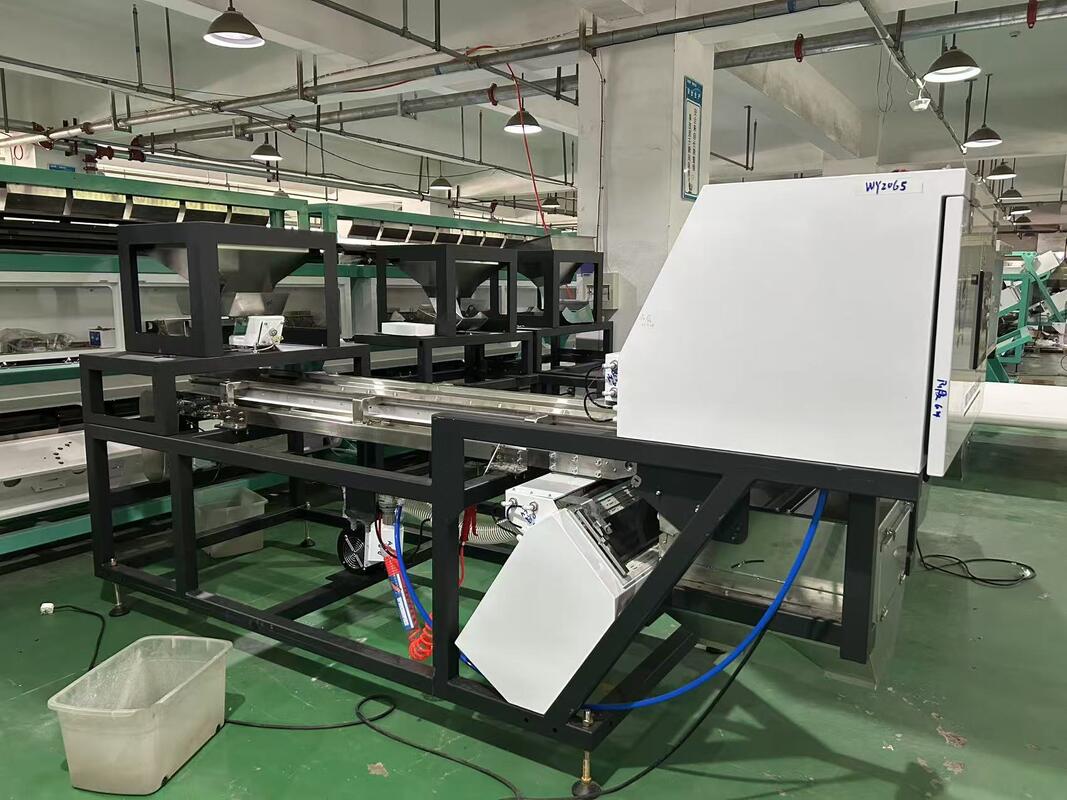 Belt Sorter Machine to Sort Unpeeled Garlic and Sorting Unpeeled Black Spots Garlic in Garlic Cleaning and Processing Line