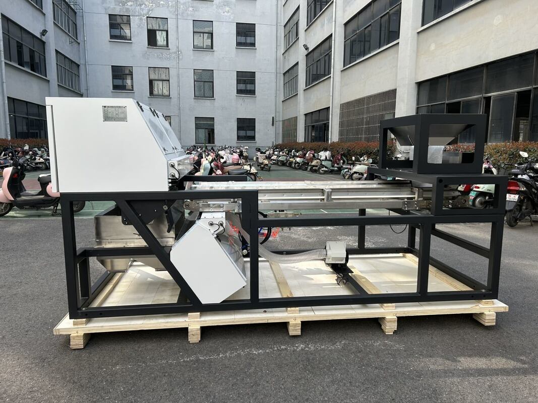 600 ملم عرض الحزام عالية السعة صناديق لون الجنيبر المجفف التوت الأزرق الحبوب لون تصنيف آلة