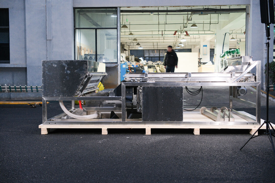 1200mm Belt Width High Capacity Juniper Color Sorter with 99.99% Precision