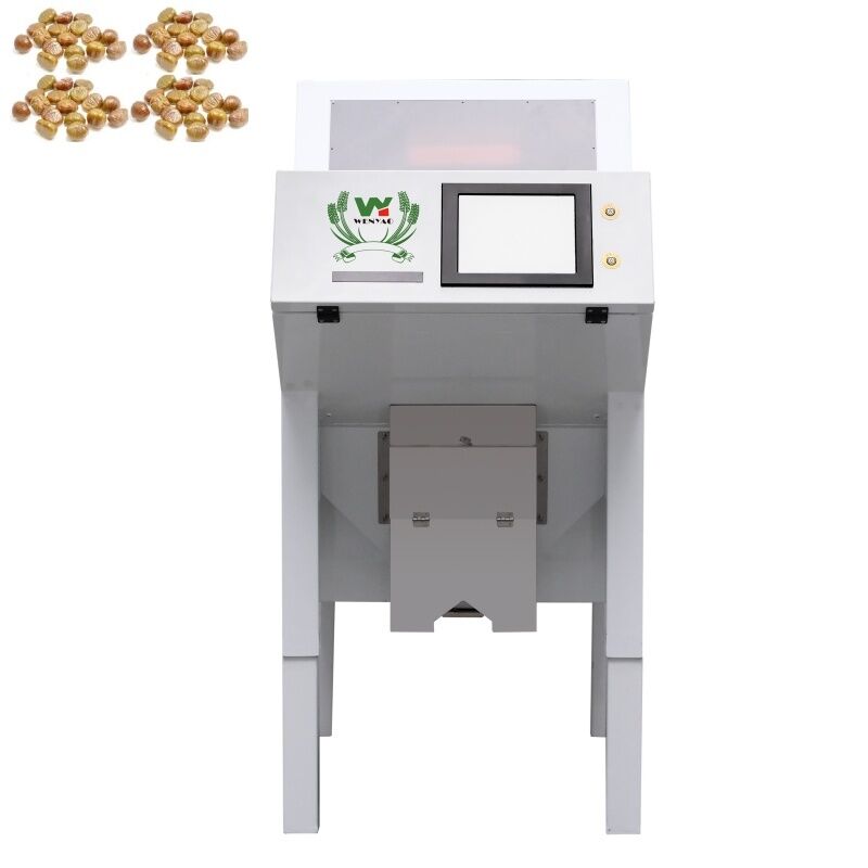 آلة فرز الألوان البصرية WENYAO 1 Chute لفرز ألوان الكستناء المجففة والمجففة