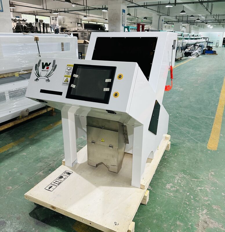 آلة فرز الألوان البصرية WENYAO 1 Chute لفرز ألوان الكستناء المجففة والمجففة