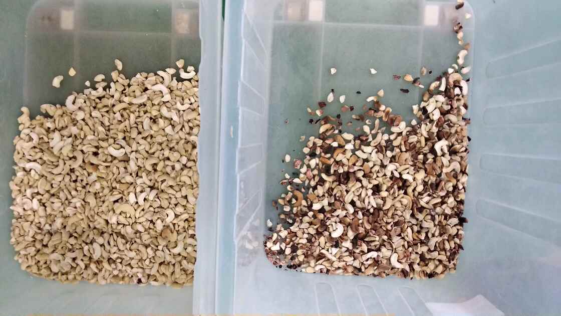 آلة فصل المكسرات الاحترافية من وينياو، آلة فرز الألوان للكاجو والجوز وجوز الأريكا مع جهاز تحكم عن بعد عبر الواي فاي