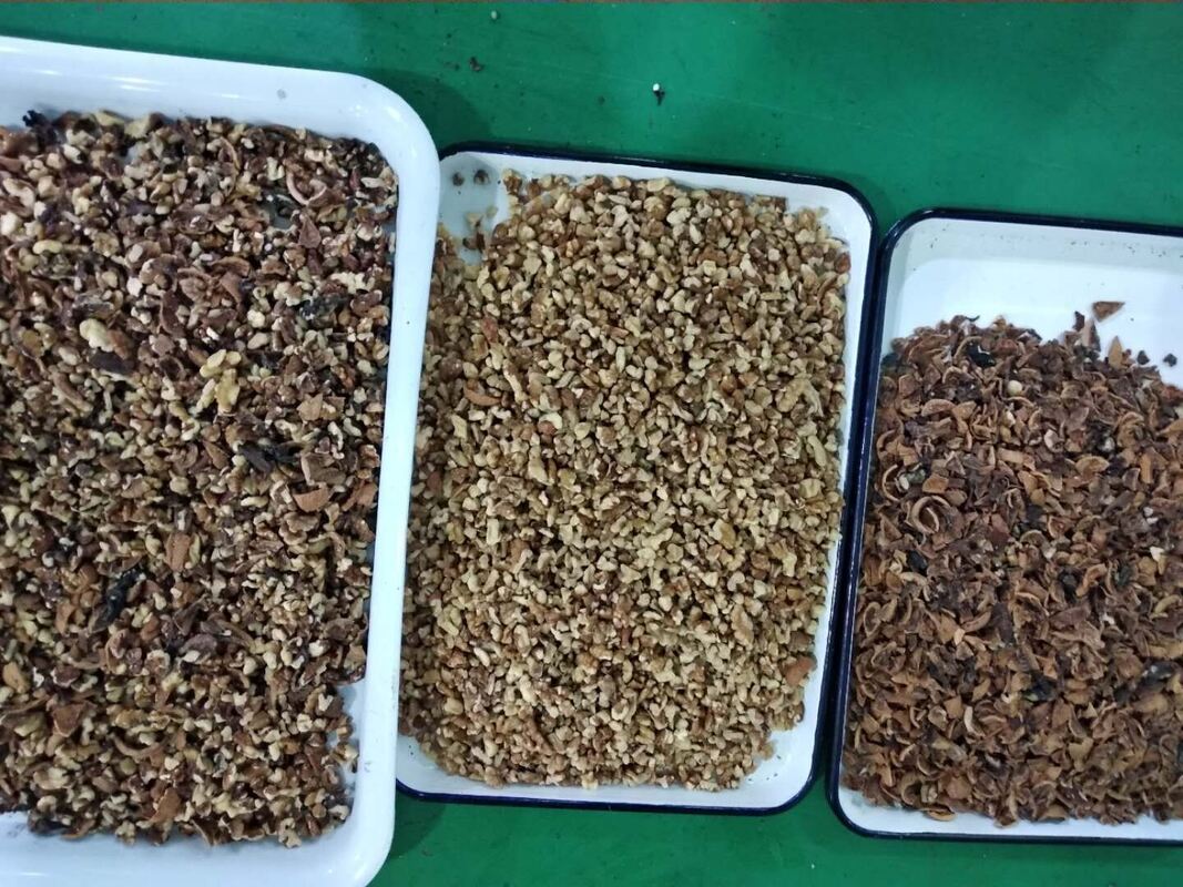 آلة فصل المكسرات الاحترافية من وينياو، آلة فرز الألوان للكاجو والجوز وجوز الأريكا مع جهاز تحكم عن بعد عبر الواي فاي