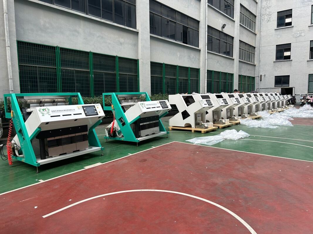 وينيو تسويق ساخنة تصنيف الألوان البصرية حبوب القهوة آلة تصنيف الألوان