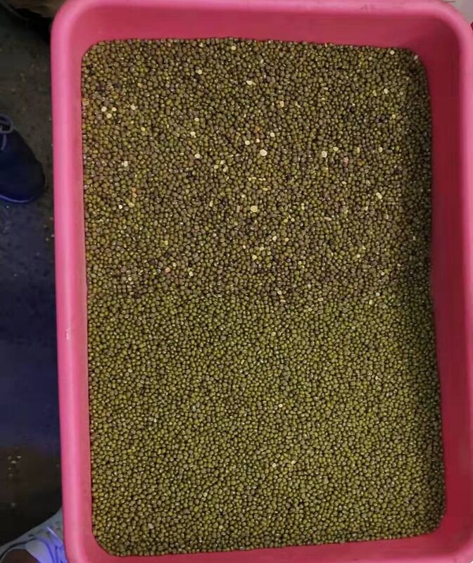 وينيو 8 شوتس آلة فرز البقولات للفاصولياء الفاصولياء الضوئية للفاصولياء الملونة للبيع