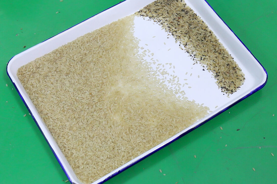 ونياو عالية دقة تصنيف أرز آلة تصنيف لون آلة تصنيف بصري لتنظيف الحبوب مع ضاغط الهواء خزان الهواء