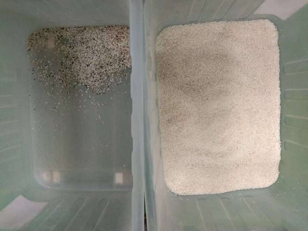 وينياو أحدث جهاز تعلم الذكاء الاصطناعي لفصل الألوان الزراعي، معدات فرز ألوان الكينوا لتنظيف حبوب الأرز، فارز بصري أوتوماتيكي