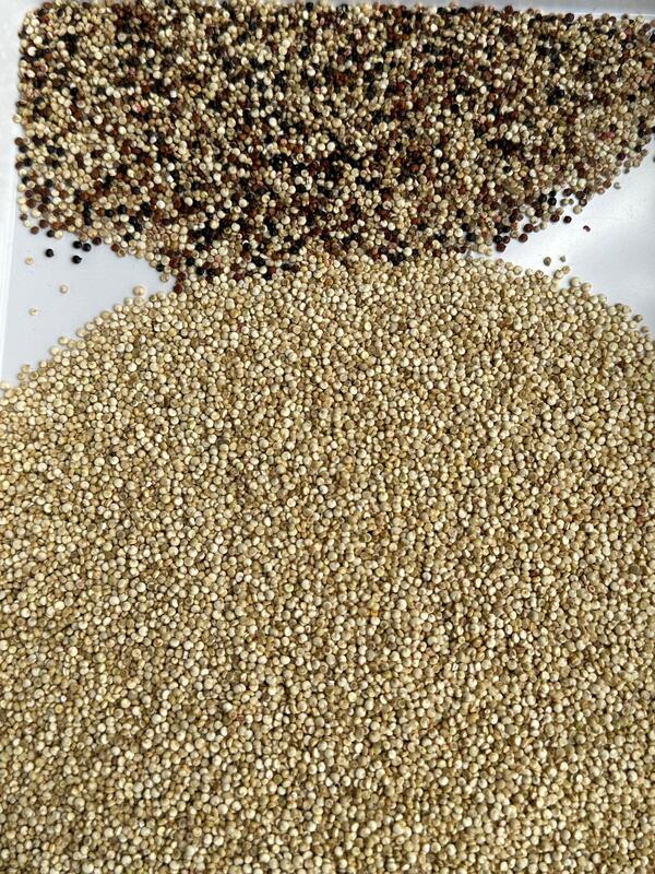 وينيو سي سي دي عالية السرعة حبة تصنيف لون للفاصوليا والفاصوليا الكثيرة حبة تصنيف آلة