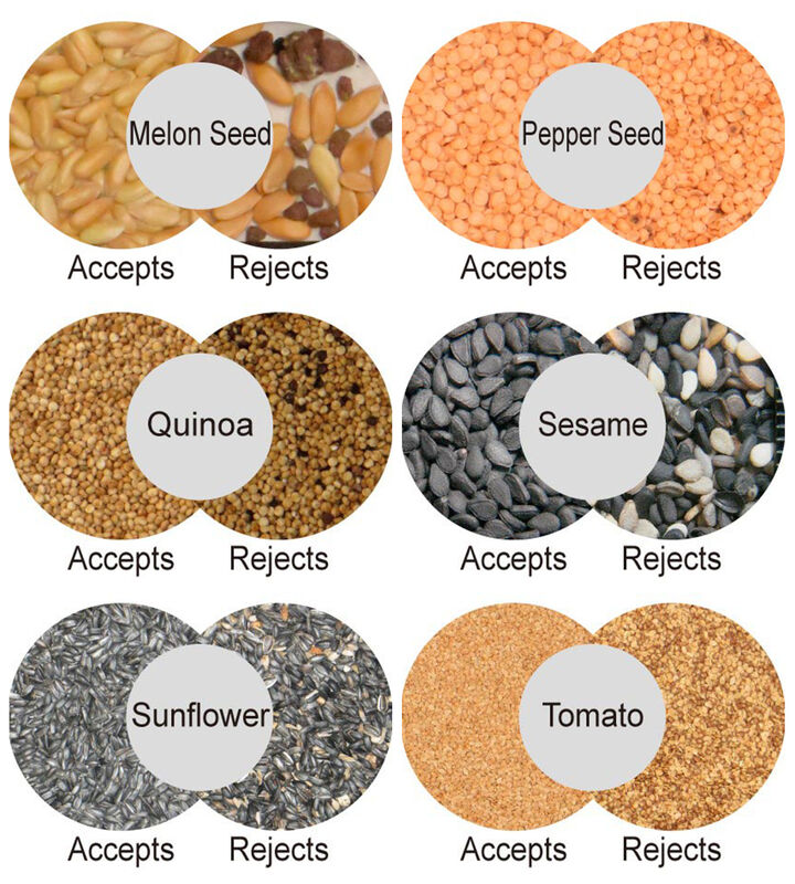 Plastic Color Sorting Machine with Powerful LED Light Source America ALTERA FPGA Chip and 1000kg/h Sorting Capacity