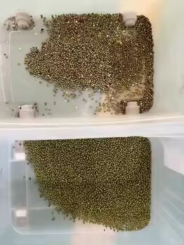 فرز الألوان البصري عالي السعة للحبوب بدقة فرز ≥99.99% وإنتاجية 4-10 طن/ساعة