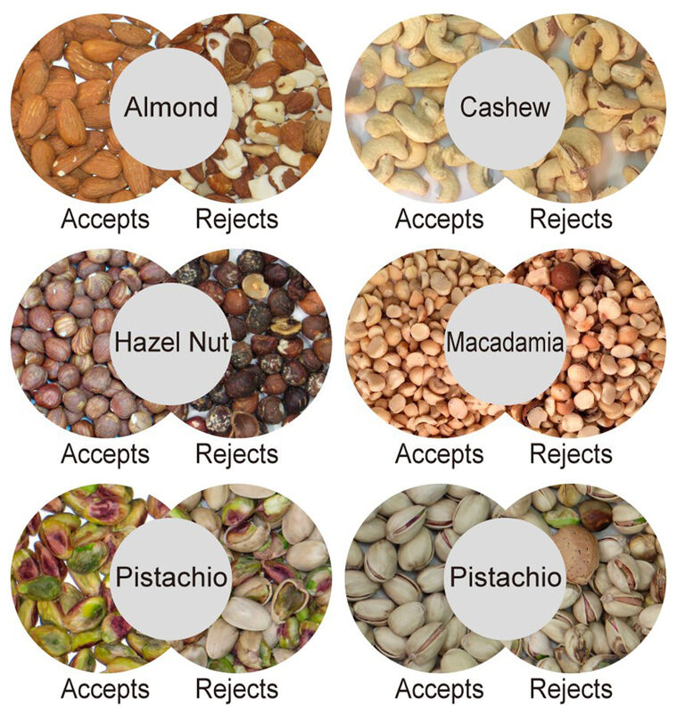 محول لون المكسرات WENYAO مع سعة 2400-4000 كجم ودقة 0.999 لفرز المكسرات