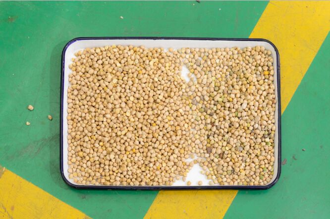 ونياو 5 آلة فرز بصري ذكية أوتوماتيكية لفرز لون الجوز، وفرز نواة الصنوبر وقشرته