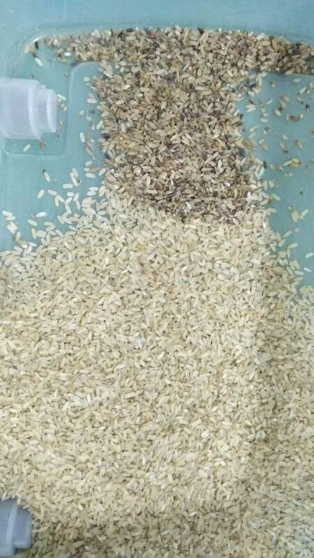 آلة فرز الألوان البصرية الذكية WENYAO ذات 4 مجاري، دقة عالية، وسعة 2-4 طن/ساعة لفرز الأرز والقمح