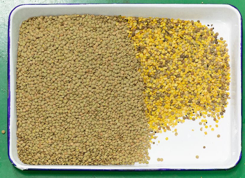 مُصنّع تصنيف لون ذو شهادة 