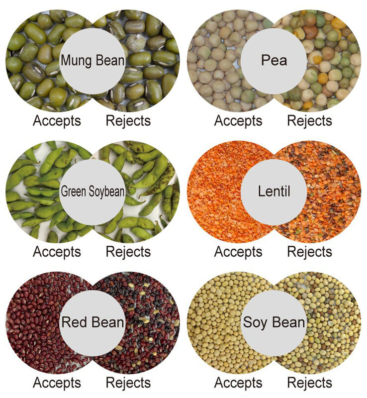 آلة تصنيف حبوب القهوة WENYAO AI Color & Shape Sorter 99.99% دقة 2500-8000kg/h القدرة النقية العالية ضمان لمدة عامين