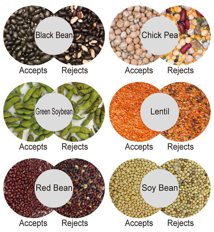 آلة تصنيف حبوب القهوة WENYAO AI Color & Shape Sorter 99.99% دقة 2500-8000kg/h القدرة النقية العالية ضمان لمدة عامين
