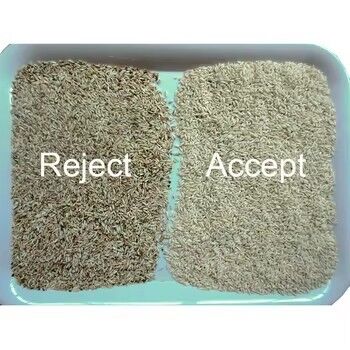 Automatic Wheat Color Sorter Buckwheat  Sorting Machine Multi-functional Separator for Oats Quinoa Sesame