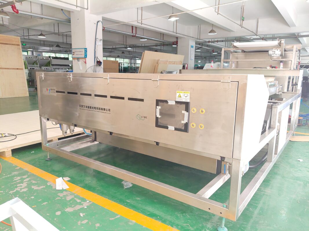 China Clam Sorting Machine Shell Color Sorter Dried Frozen Seafood Sorting  Machine