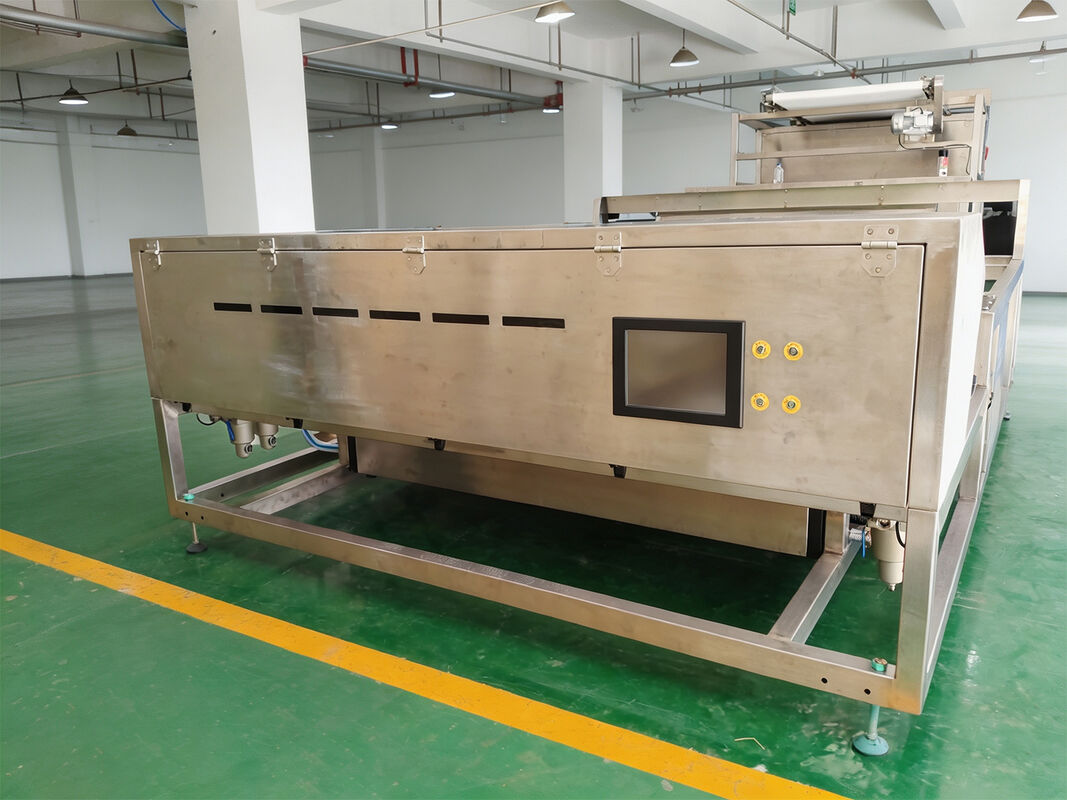 Spices Anise Color Sorter CCD Cumin Color Sorting Machine Black Pepper Color Separating Machine