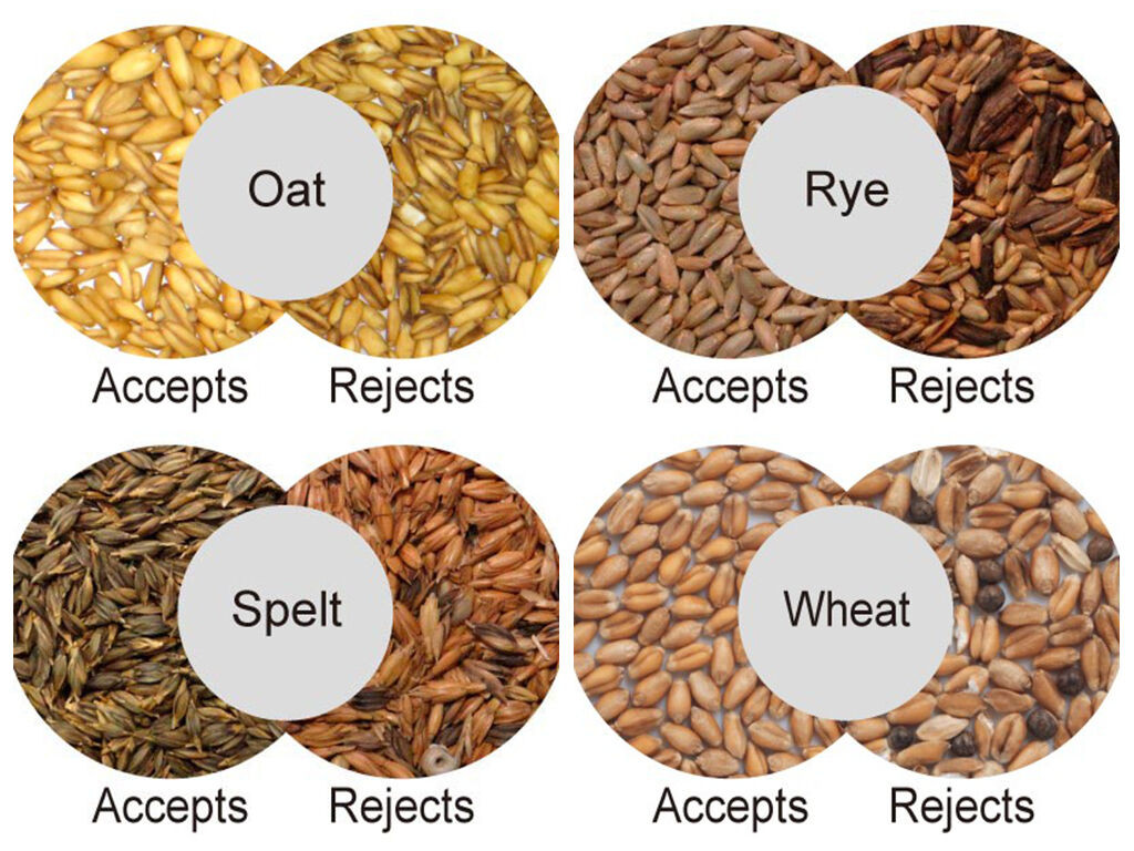 WENYAO Deep Learning AI Detection Grain Cleaner Remove Moldy & Discolored Kernels Processing Device Grain Color Sorter