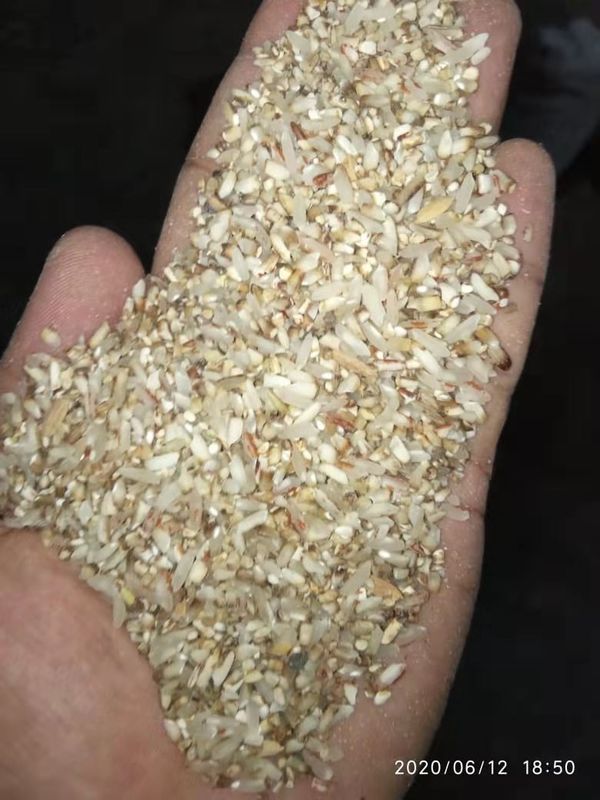 4000 كجم / ساعة آلة فرز الأرز الصغيرة بالألوان المسلوقة بعمر افتراضي طويل LED