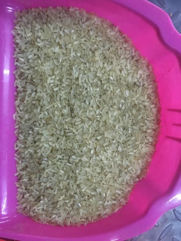 Wenyao آلة فارز لون الأرز المسلوق لفرز الأرز الأسود في مطحنة الأرز في إندونيسيا