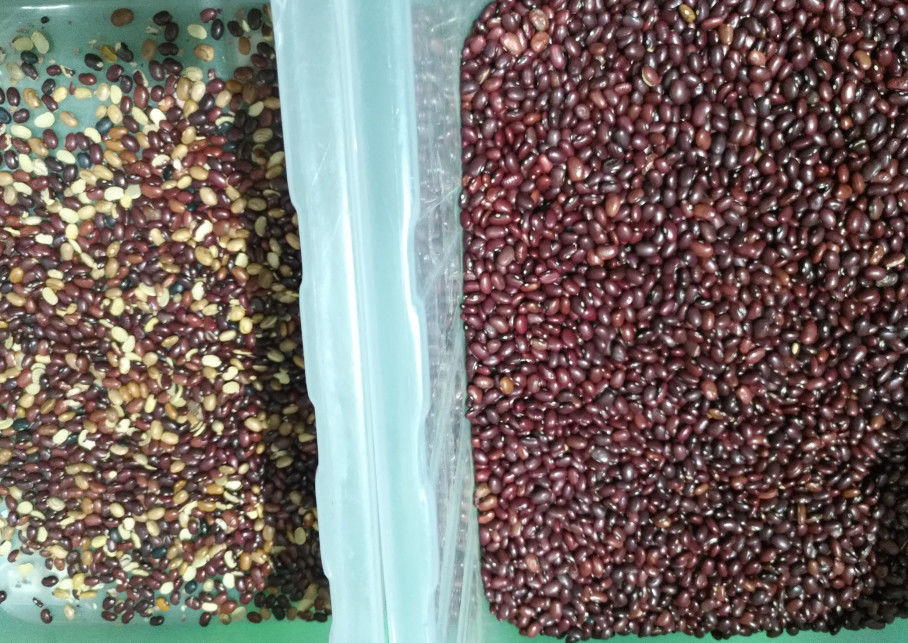 5400 Pixel Mini Beans Color Sorter ، 800kg / H آلة فرز فول الصويا