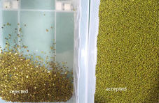 فول الصويا تصنيف اللون آلة تصنيف الاختيار الخضراء الفول الأسود بذور سوهوم معدات تنظيف