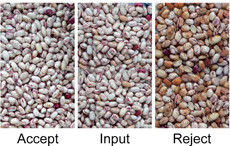 فول الصويا تصنيف اللون آلة تصنيف الاختيار الخضراء الفول الأسود بذور سوهوم معدات تنظيف