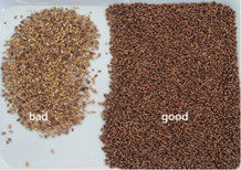 WENYAO Led Light Wheat Color Sorter منفصل الحبوب ذو استهلاك طاقة منخفضة