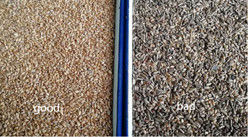 WENYAO Led Light Wheat Color Sorter منفصل الحبوب ذو استهلاك طاقة منخفضة