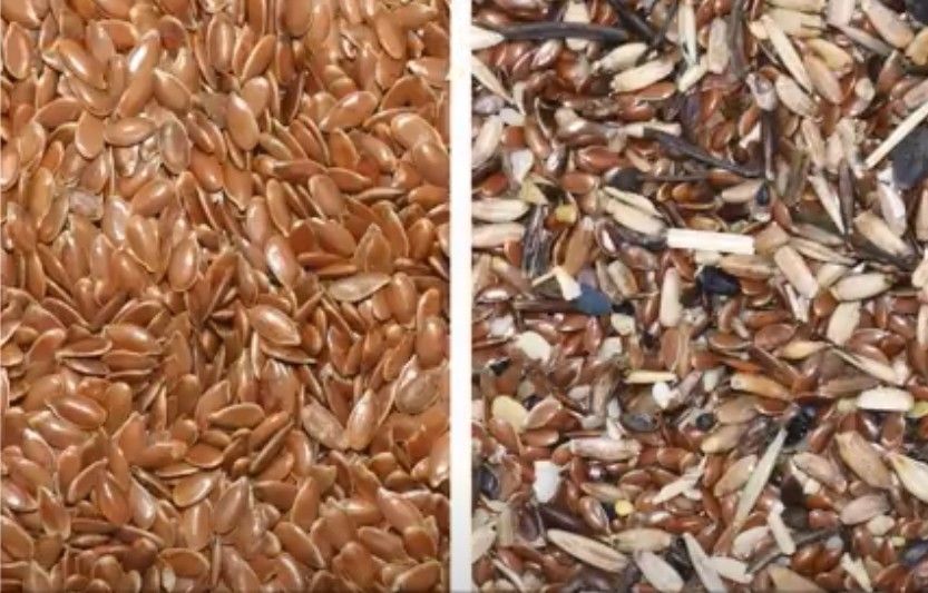 WENYAO 300-500 kg Seed Selection Machine Onion Seed Sorting Digital Optical Mini Color Sorter Machine for Sale