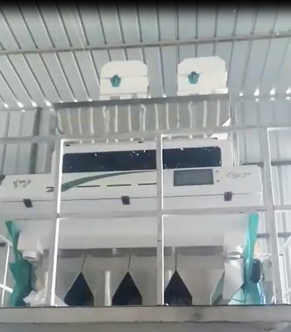 WENYAO الفول السوداني المكسرات رايس اللون آلة فارز مع CCD LED تلقائيا