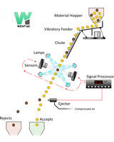 WENYAO 1000kg / H CCD لون الأرز فارز آلة فرز لون حبوب القمح والذرة