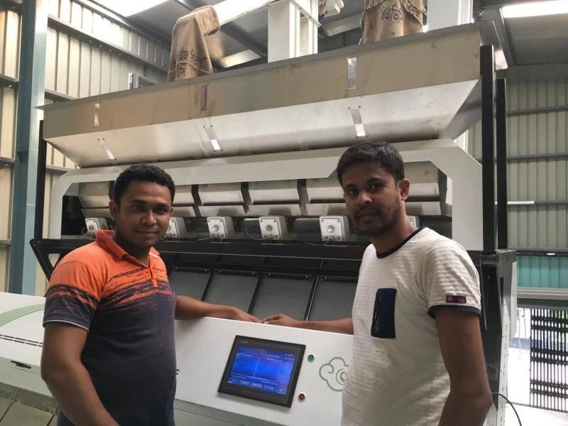 مصغرة الشوفان الشعير حبوب القمح لون فارز LED ضوء متغير