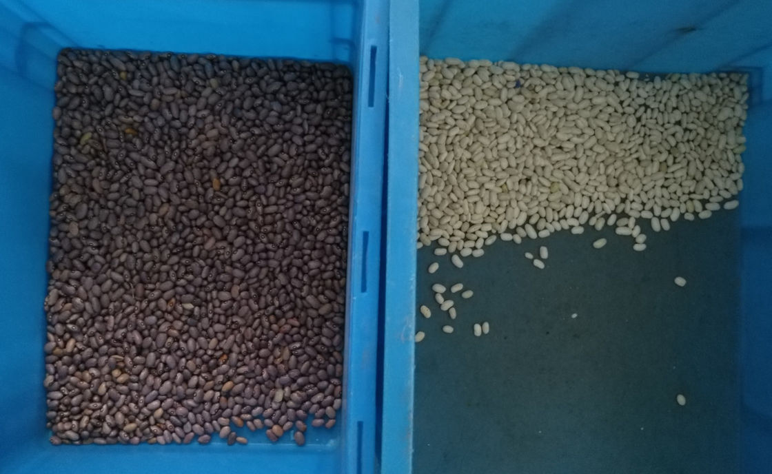 WENYAO 10 Chutes Beans Color Sorter ، 10t / h آلات فرز الألوان