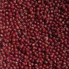 CCD لون كامل لون فارز آلة 304 الفولاذ المقاوم للصدأ هوبر