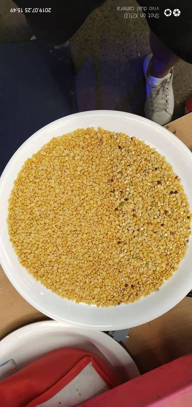 10t / h Wenyao Color Sorter ، Lentil Mung Dal Color Sorter