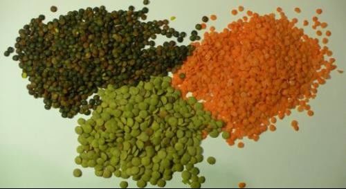 فارز اللون الأسود Lentil Dal 8 مزالق 512 قناة بإضاءة LED متغيرة