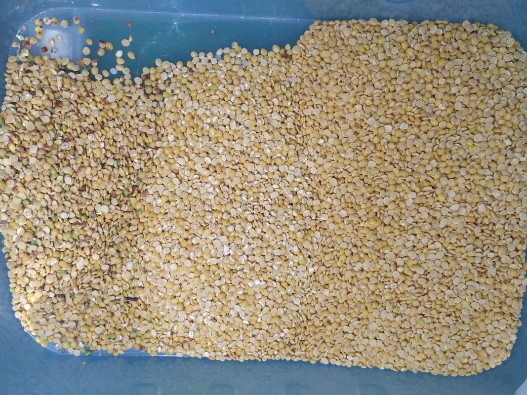 فارز اللون الأسود Lentil Dal 8 مزالق 512 قناة بإضاءة LED متغيرة