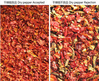 نوع Wenyao Chute نوع الذكاء الاصطناعي الترتيب الجاف للفلفلفل الأحمر فصل الفلفل الأحمر وظيفة التنظيف الذاتي