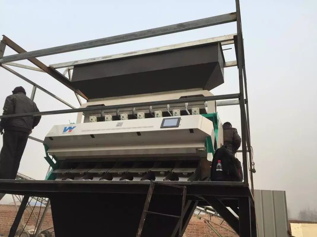 اليابان CKD Filter Candle Nuts Color Sorter لفصل اللونين الأبيض والأسود