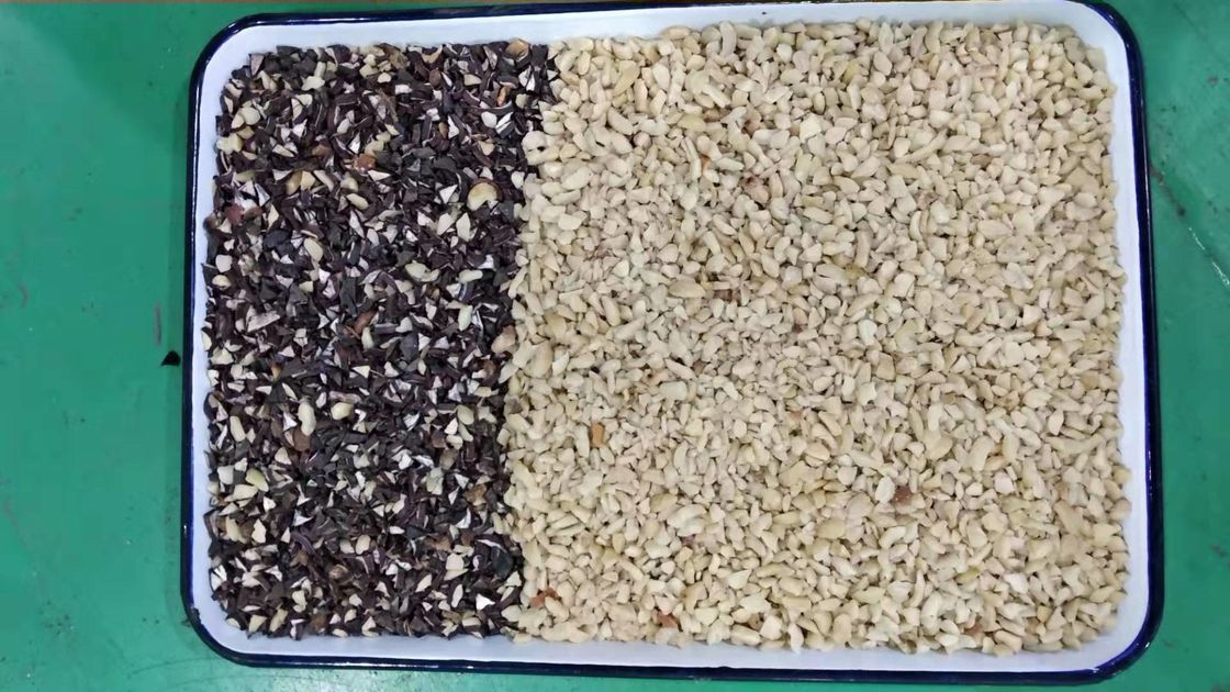 اليابان CKD Filter Candle Nuts Color Sorter لفصل اللونين الأبيض والأسود