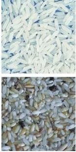 سهلة التشغيل آلة تصنيف لون القهوة مع الصلبة 304 الدرجة الغذائية هوبر